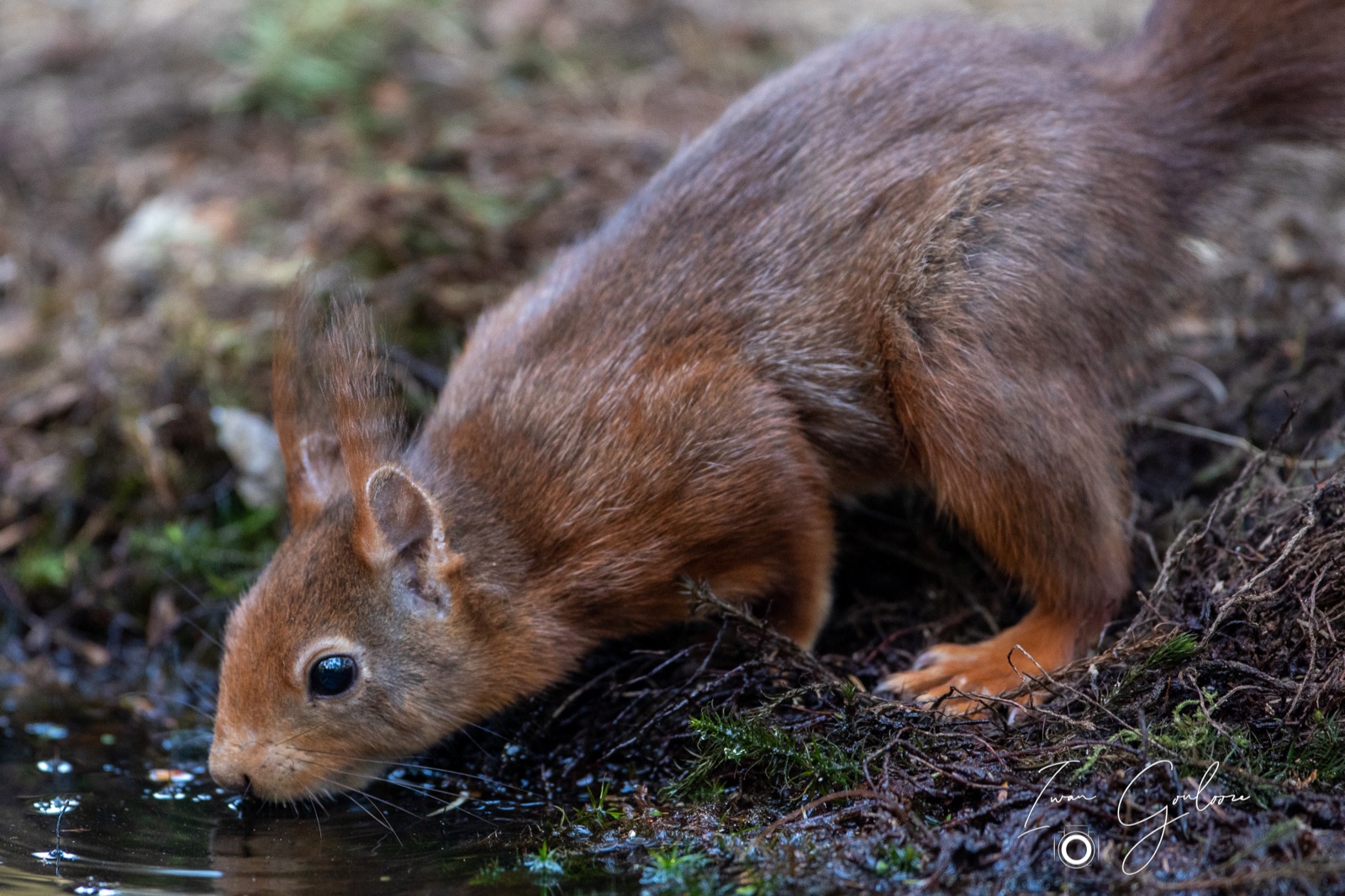 08 mei 2022 184446 1DX42901